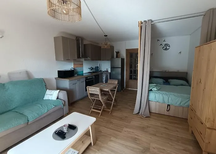 Apartment Le Pin Des Ecureuils