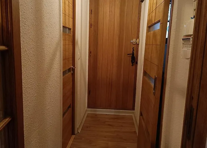 Le Pin Des Ecureuils Saint-Raphaël