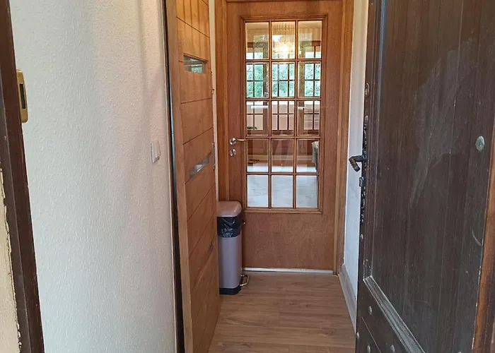 Le Pin Des Ecureuils * Saint-Raphaël