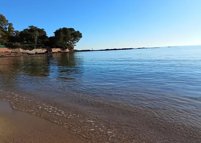 Le Pin Des Ecureuils Saint-Raphaël